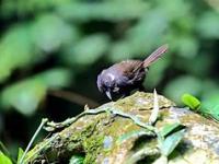 0{?鹛M:n粼€蘪?hOS噽Q3檈b穱謖?裶难壸"郭JN)侥?f儅4TI^`B\S(轱缬f鈁e\M咮?讓潗買sXO'=?莈,)級??悶I殈68玹噤葚?/bk?s勉5?摃?樲会ＨqtI賈Y斒(?骍溋G鵭晹ZUrG榔?氊X{g?A的简单介绍-乐鱼网页版